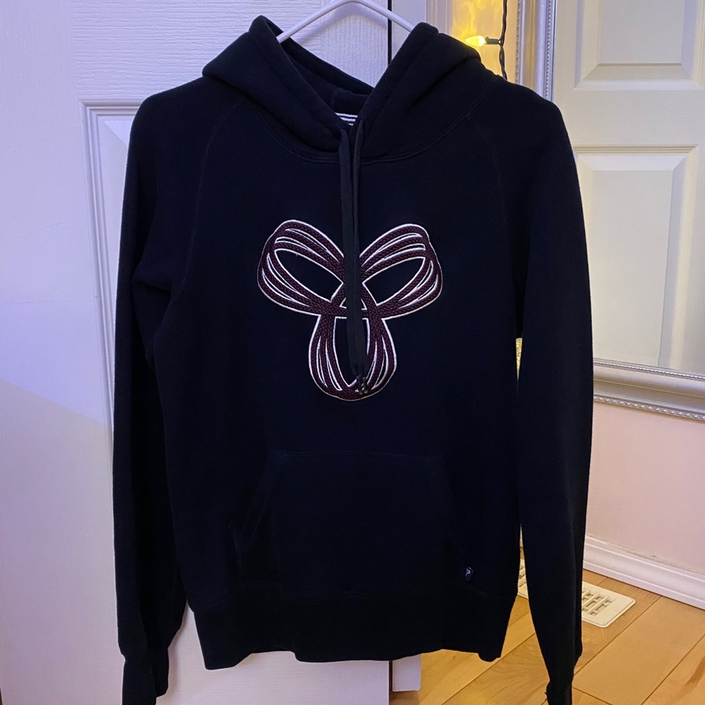 Aritzia TNA Baltic Hoodie!